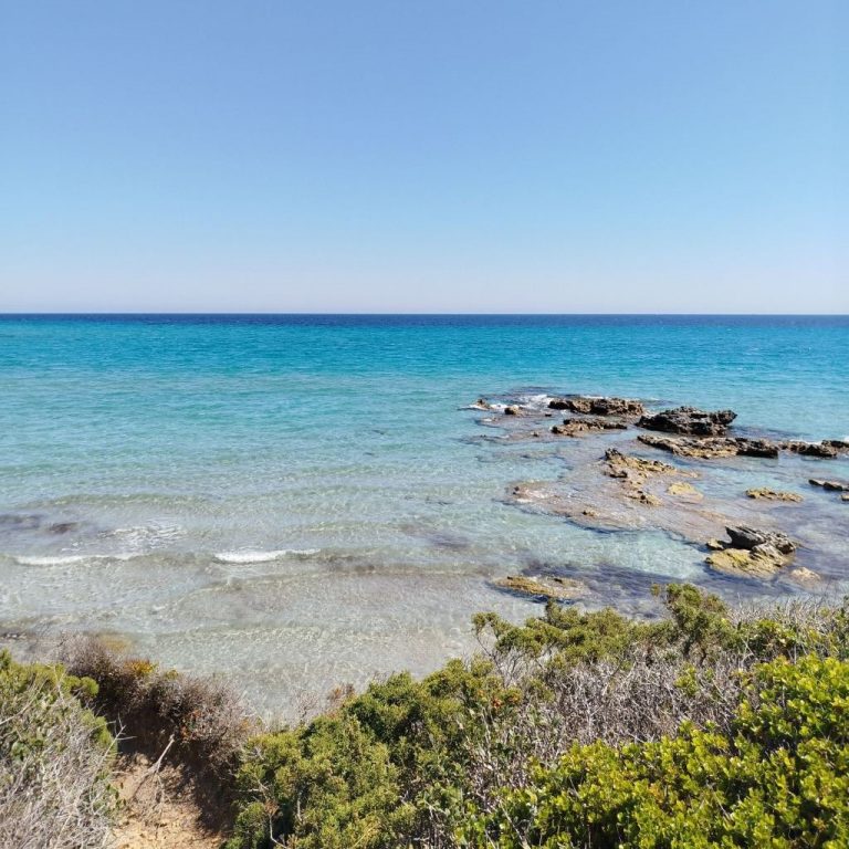 Mare